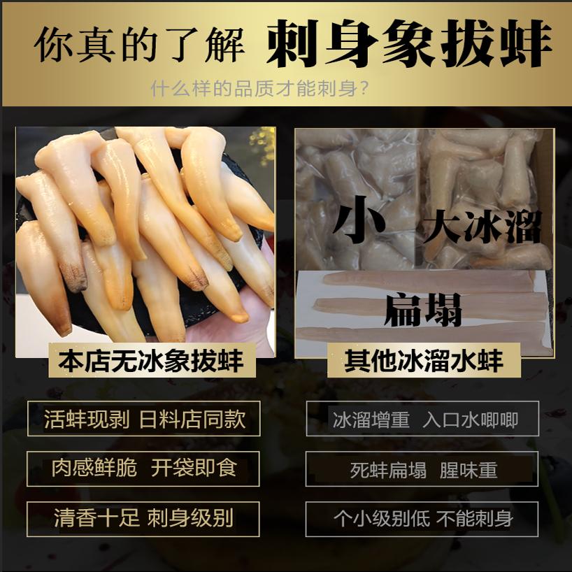 冻鲜象拔蚌，解锁海鲜新滋味！️