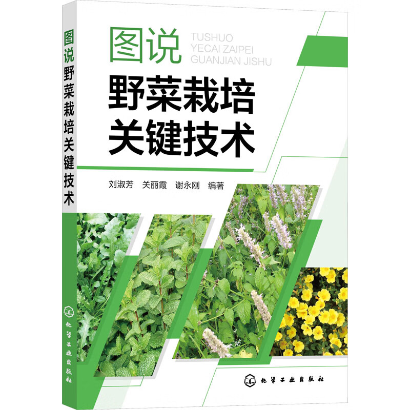 工业过程自动化技术大专生的就业前景如何？