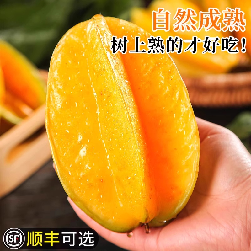 福建漳州甜杨桃5斤大果：当季新鲜水果，一口咬下全是甜蜜！