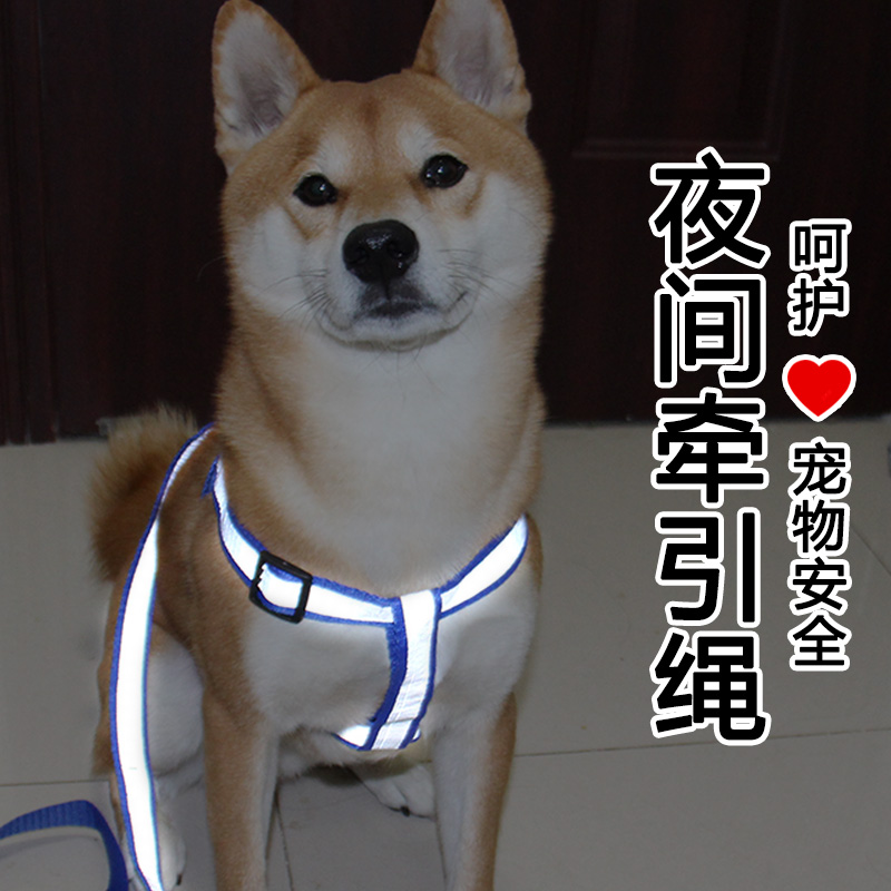 狗狗牵引绳防丢神器！泰迪柯基必备！狗胸背带太香了！