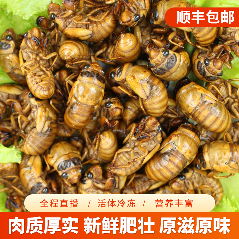 淘宝卖家头衔怎么升级？2025年最新规则揭秘！