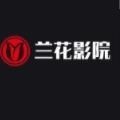 马兰花开