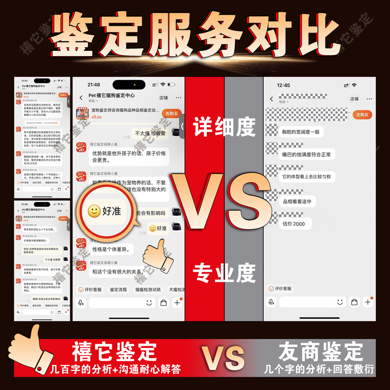 德牧犬挑选秘籍：弓背平背东德西德品相鉴定全攻略