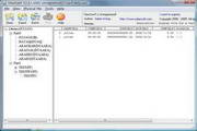 ViewSavF2.41 Build 1036