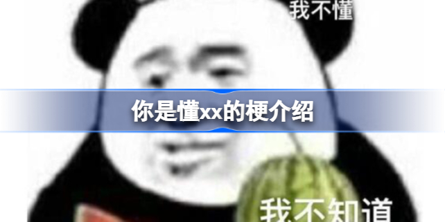 你是懂xx的是什么梗 你是懂xx的梗介绍