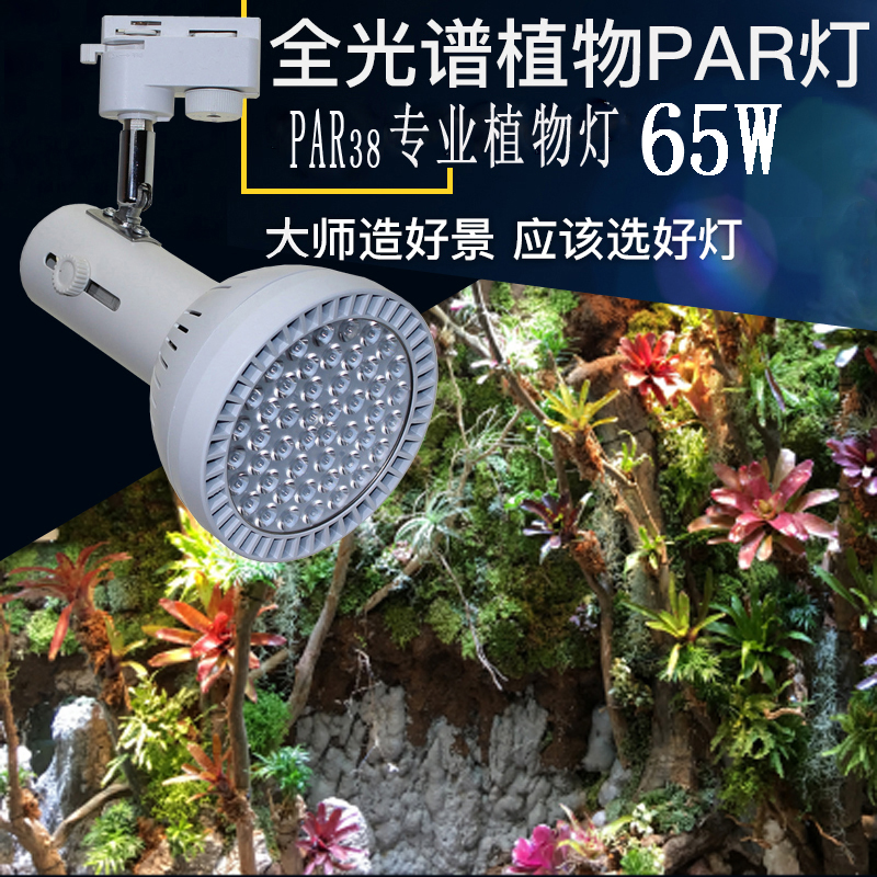 65W植物墙补光射灯：打造室内绿洲的秘密武器！