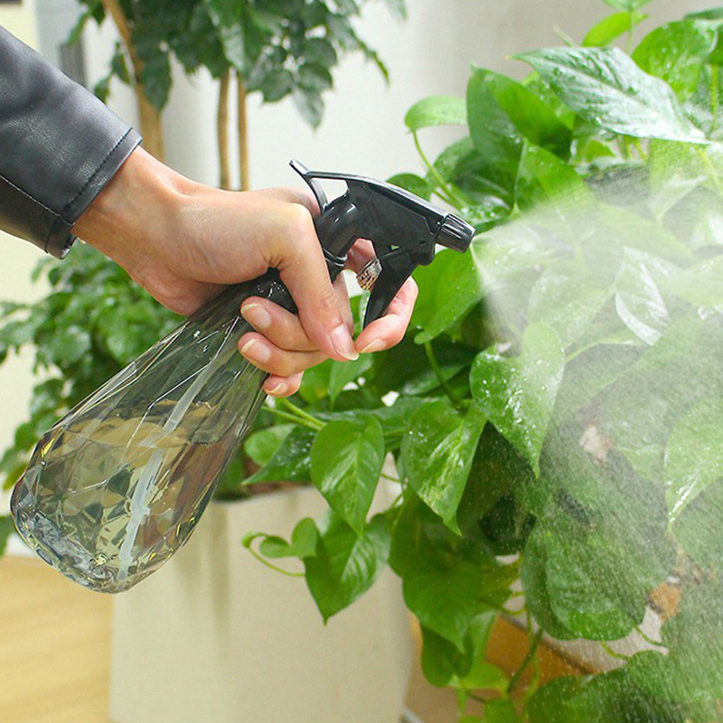 Fiorenzato压粉器：解锁商用自动压粉新体验，新款立式压粉器来袭！