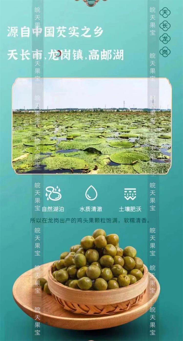 潮州东凤下张村手剥鸡头米：2023年新鲜芡实，天然野生特级500g包邮！