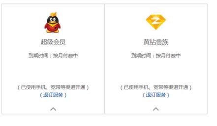 卡盟刷qq钻,便捷服务背后的风险与选择指南