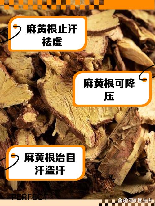 麻黄根的功效与作用,传统中药的神奇功效