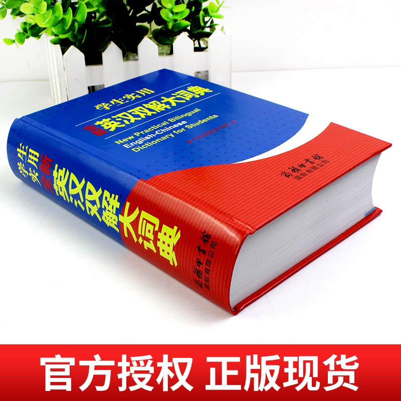 2025正版初中高中学生英汉双解大词典：学习英语的秘密武器