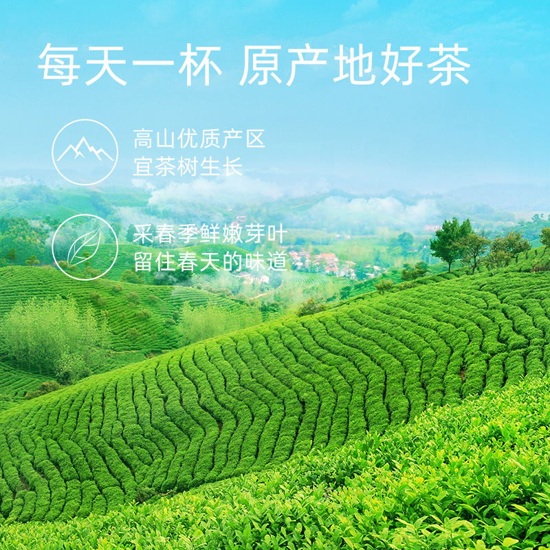 2025春茶上市：文新信阳毛尖，明前特级1915茶叶礼盒，送礼必备！