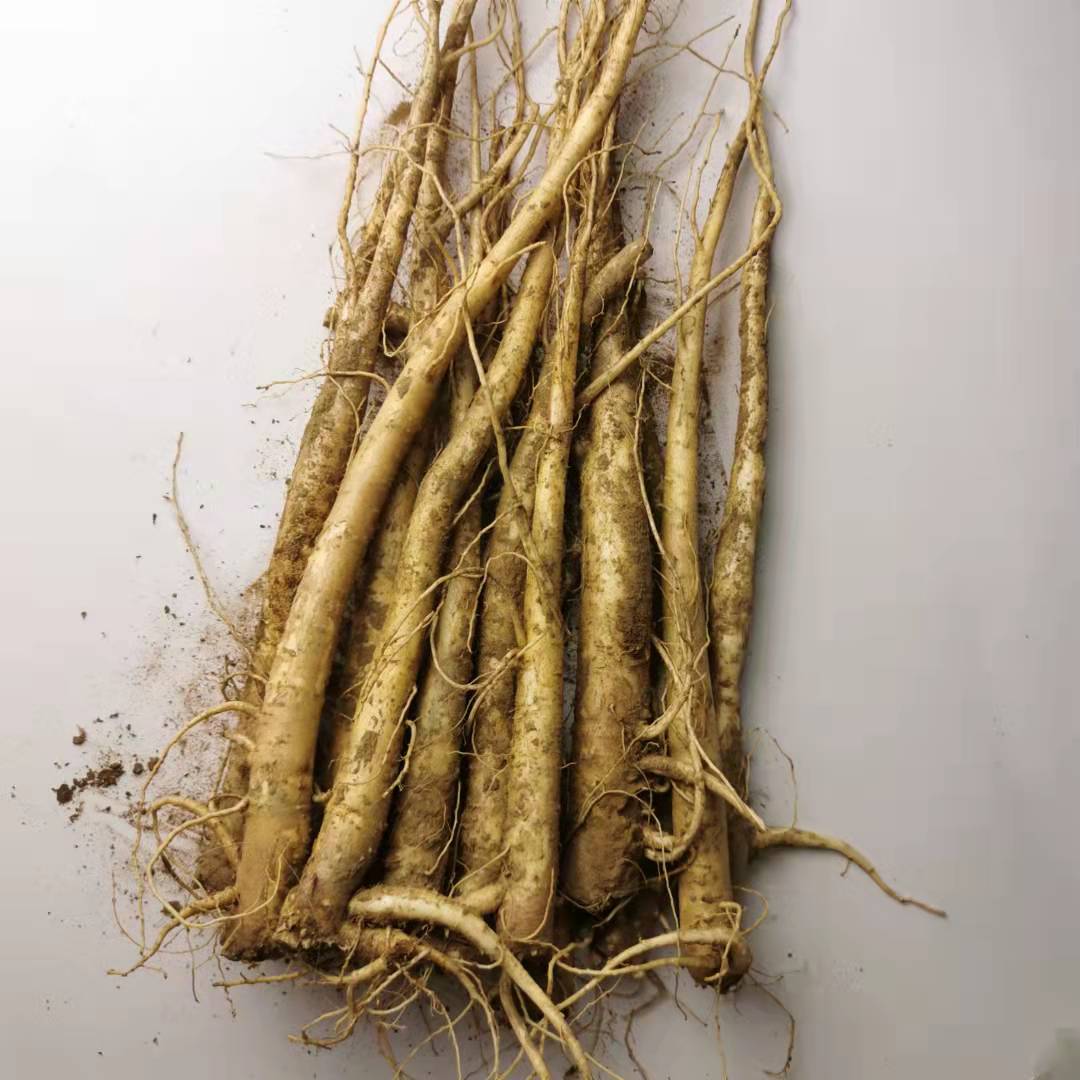 正品延边桔梗鲜货，东北地道风味，10斤包邮！