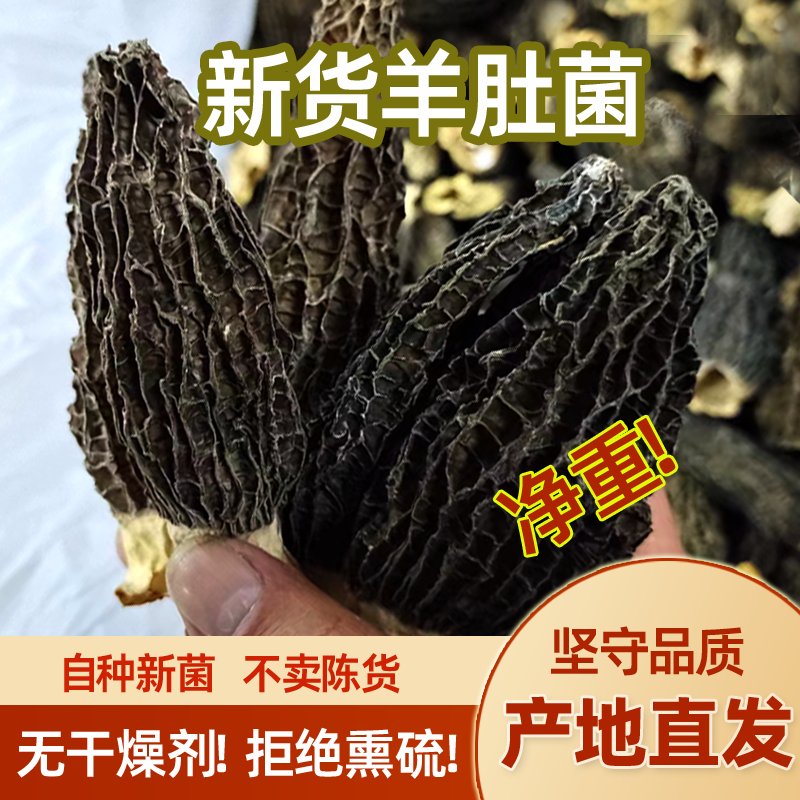 羊肚菌干货50克：土特产中的滋补圣品，开启你的养生新篇章!