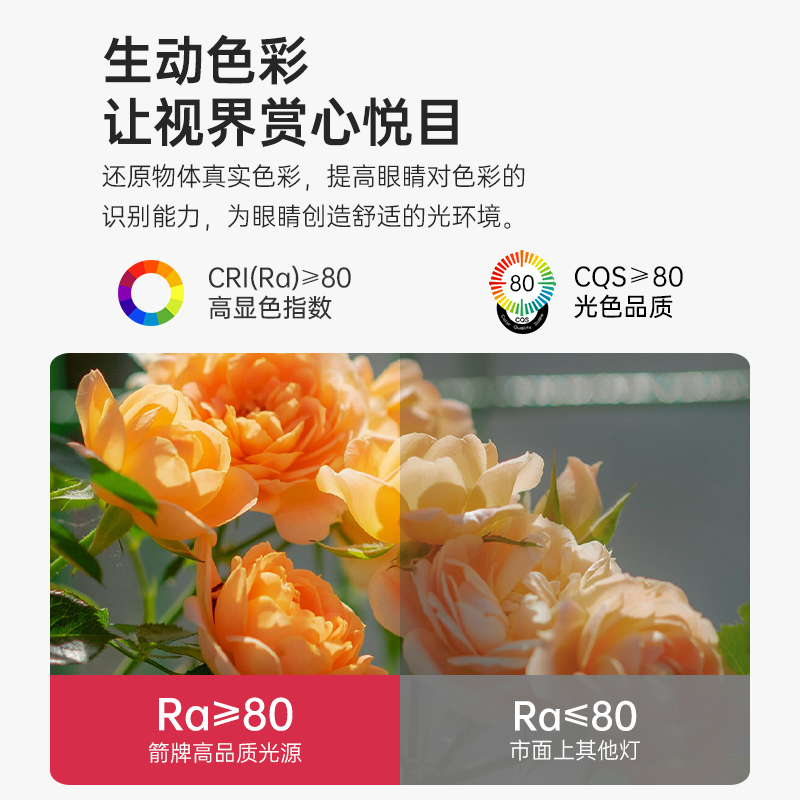 箭牌照明：不只是光，更是生活美学的点亮者