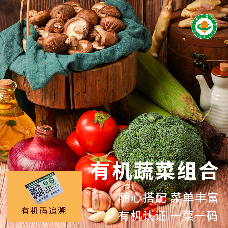东北绿豆真空装：500g颗粒饱满，发芽豆芽菜的宝藏选择！
