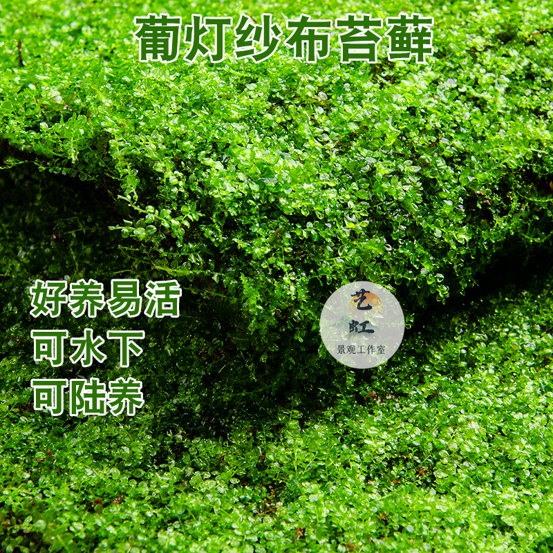 6G技术的发展前景，绝绝子！未来通信新趋势，你准备好了吗？