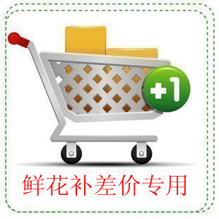 《漂亮妈妈》：一部触动心灵的家庭温情片，治愈你的心灵，好看到哭！