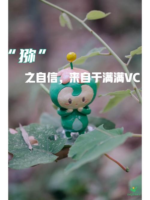 冒险吧精灵,战斗吧精灵官网