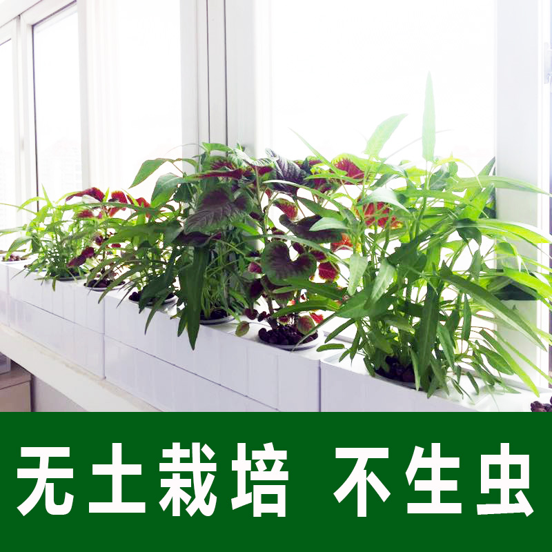 种菜家庭机智管道：阳台也能变身绿色农场，垂直种植蔬菜的秘密武器！