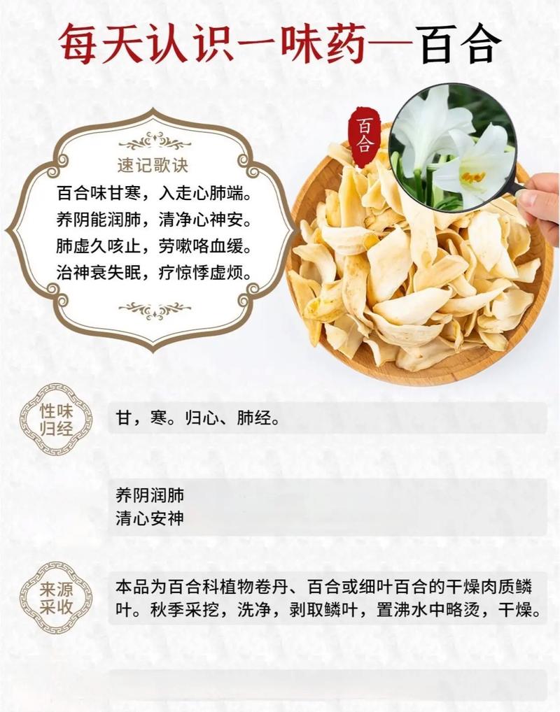 百合的功效与作用,润肺清心的天然瑰宝