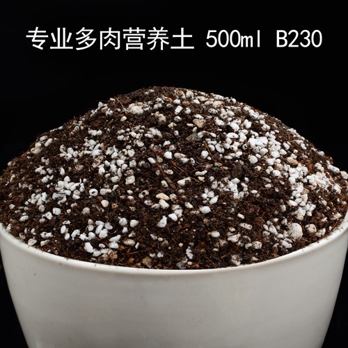 亚洲杯篮球赛：谁将书写新的传奇？直播盛宴不容错过!