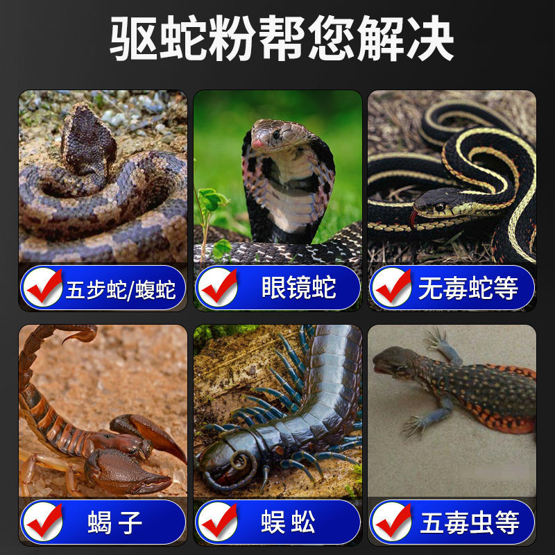 雄黄驱蛇粉真香预警！防蛇神器测评，户外露营必备！
