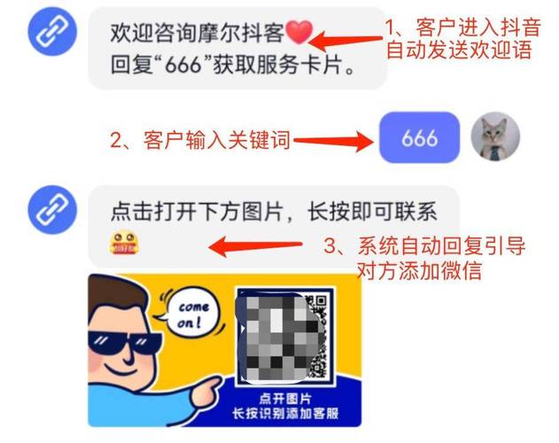 抖音号24小时自动发卡,轻松实现高效营销新策略”