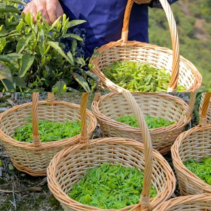 庐山云雾茶有哪些制造商？宝藏茶企大盘点，茶友们速来围观！