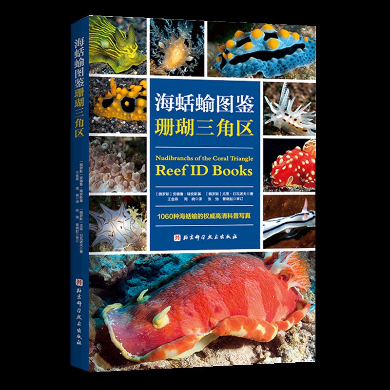 海蛞蝓图鉴：珊瑚三角区，探索海底彩虹的秘密！