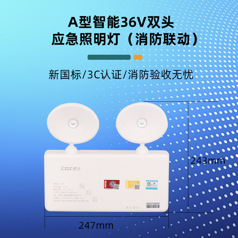 如何选择合适的劳士集中电源EPS系统来保障消防安全?