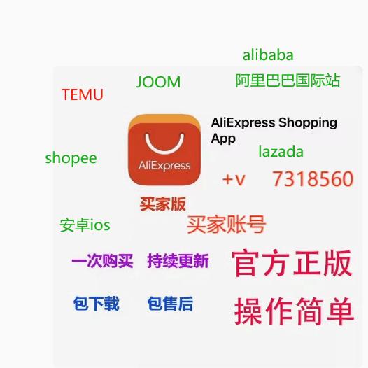 揭秘跨境电商巨头的秘密武器：阿里巴巴国际站一达通