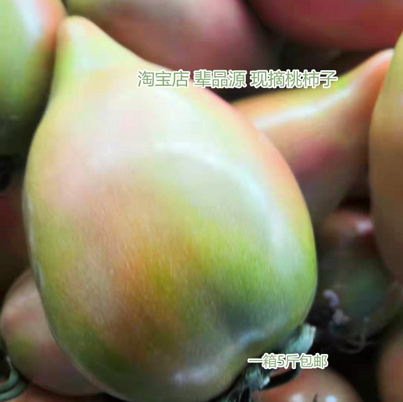 农家肥种桃柿子老品种西红柿，无农药番茄水果柿子，口感面现摘包邮！
