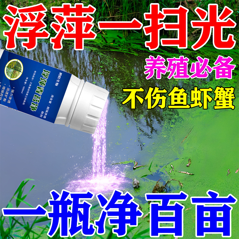 浮萍一扫光：水产养殖界的绿色革命，虾蟹鱼塘的守护神！