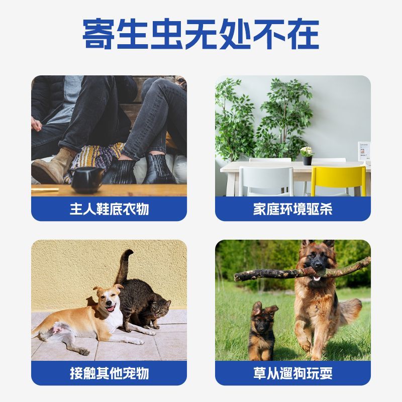 福来恩宠物驱虫喷剂100ml：告别跳蚤蜱虫，宠物也能美美哒！✨