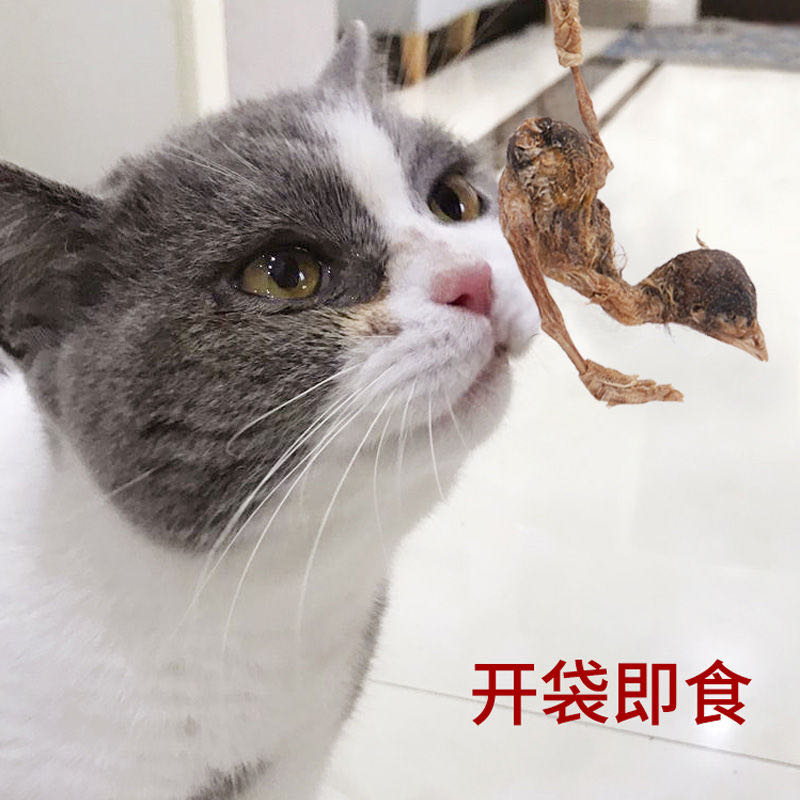 鹌鹑冻干零食：宠物磨牙新宠，洁齿增肥两不误！✨