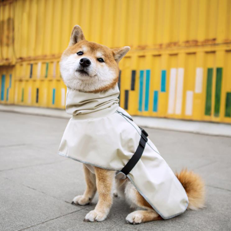 宠物户外狗狗雨披中大型犬防水雨衣，给爱宠最温暖的守护！☔