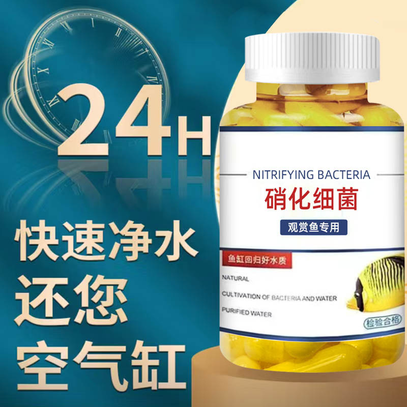 硝化细菌鱼缸专用胶囊：让水质清澈的秘密武器，养鱼必备神器！