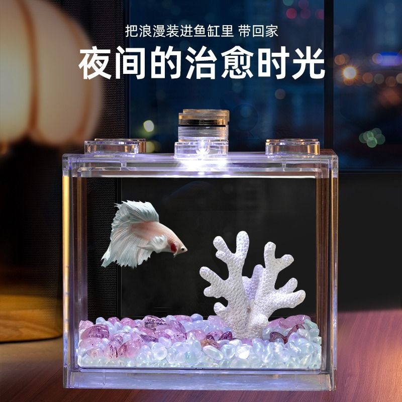 巴卡雷龙需要多大的鱼缸？水族箱尺寸全攻略