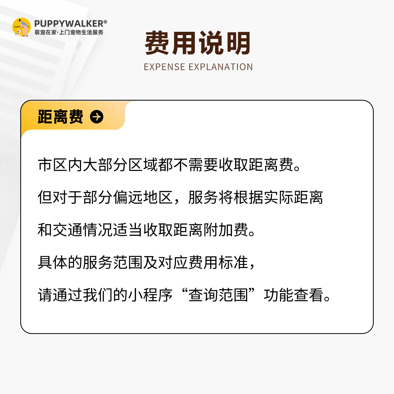 上门洗狗服务大揭秘！深圳杭州萌宠在家也能享受专业美容SPA✨