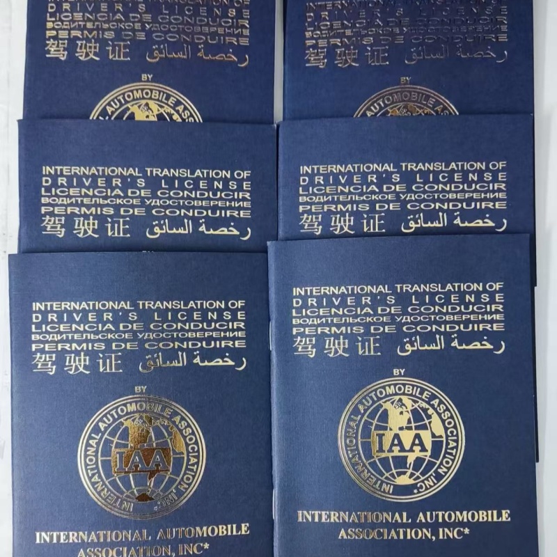 香港国际驾照(IDP)：解锁全球自驾游的金钥匙