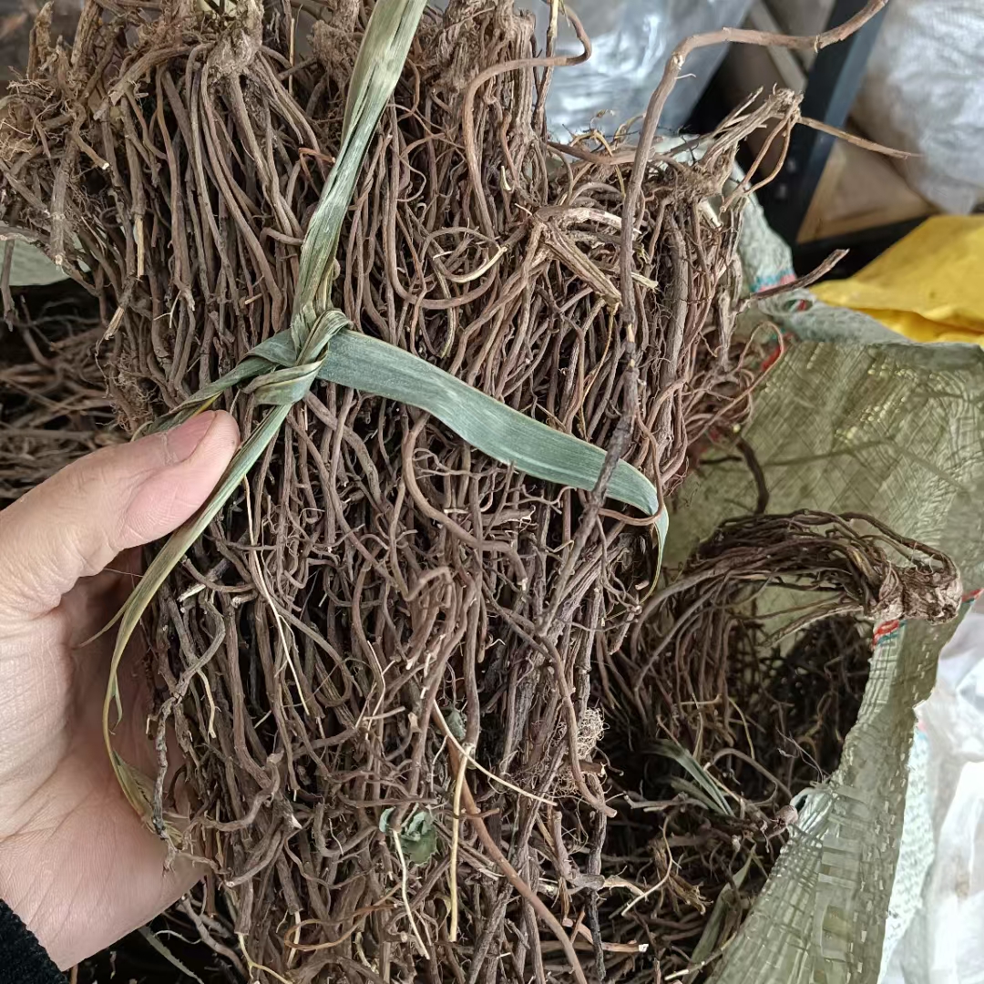 秦岭野生威灵仙：探寻大自然的神奇药材，100克包邮，你准备好了吗？