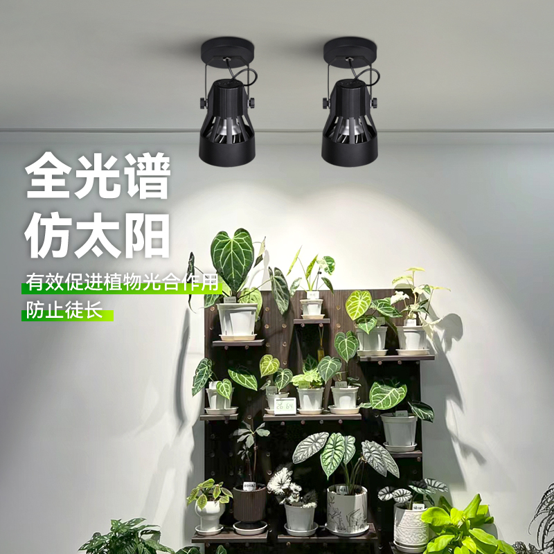 光联天下全光谱植物补光灯：点亮你的阳台花园，让月季和三角梅绽放四季