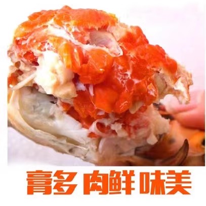 仅限北京闪送！1斤1只母膏蟹，青蟹鲜活海蟹，海鲜迷踪蟹香辣蟹，怎么吃都不腻！