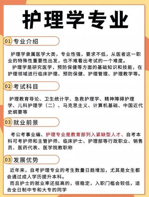 护理专业理论,护理学理论体系构建与发展概览-第1张图片-职教招生网