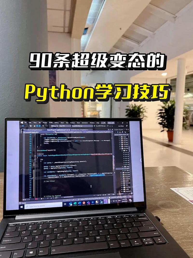 python读音,发音技巧与应用场景