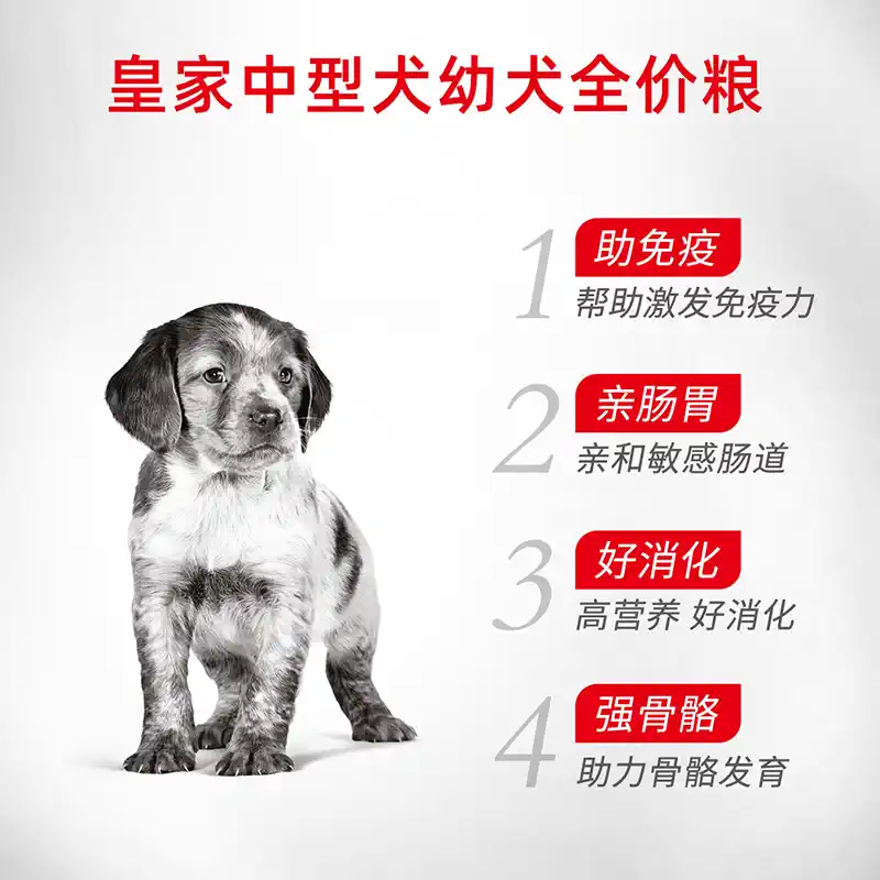 德国进口拜耳拜宠清：泰迪、法斗、金毛幼犬宠物打虫片，守护萌宠健康！