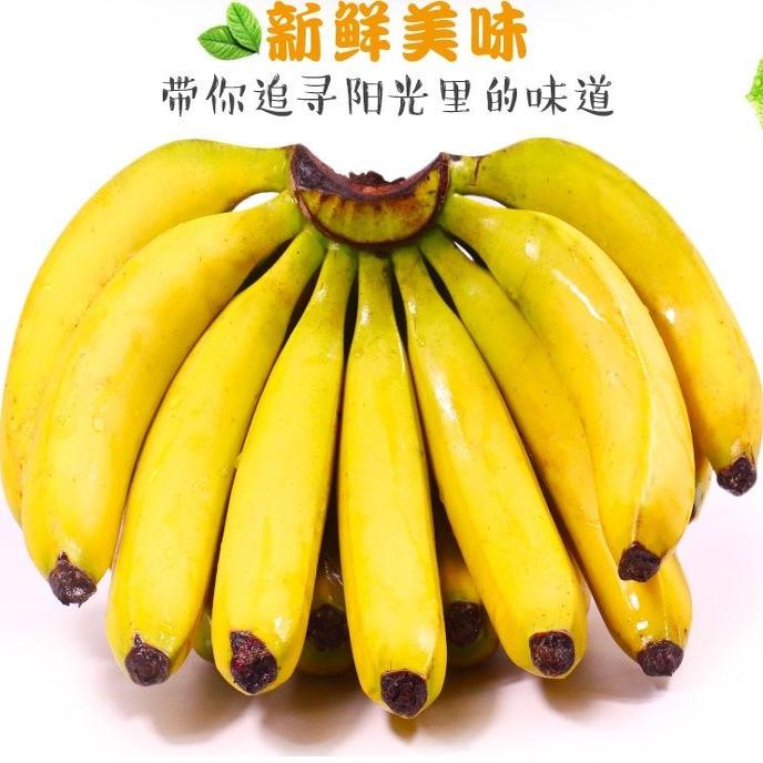 banana_smile小米蕉，我的世界里的狼人之夜！叡狼揭秘