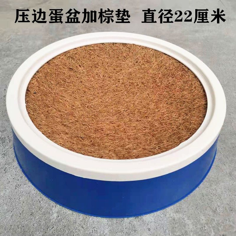 信鸽孵蛋专用窝：如何打造完美的鸽子窝，让你的鸽子安心孵蛋？