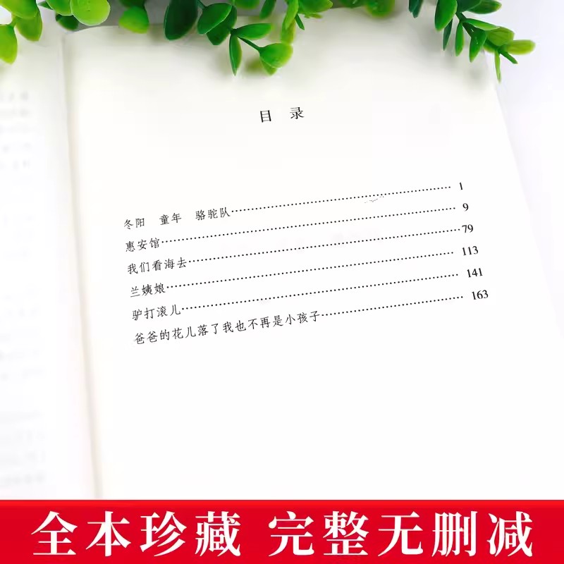 《城南旧事》正版林海音经典，小学生必读的温暖记忆